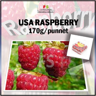 Raspberry 170g  (Punnet) , 12 punnet/ctn , 红莓