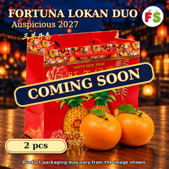 Unpacked CNY L-size Lokan 2pcs+Paper Carrier | 10sets(Bundle)
