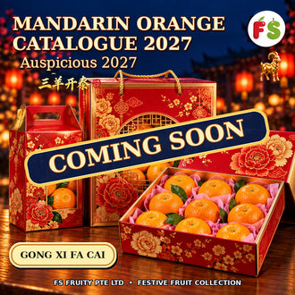 Y2027 Mandarin Catalogue | Coming Soon...