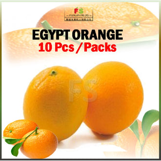 Africa Valencia Oranges  | 非洲夏橙