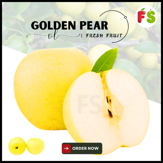 China Golden Pear -Big | 36 pcs per Ctn  黄金梨