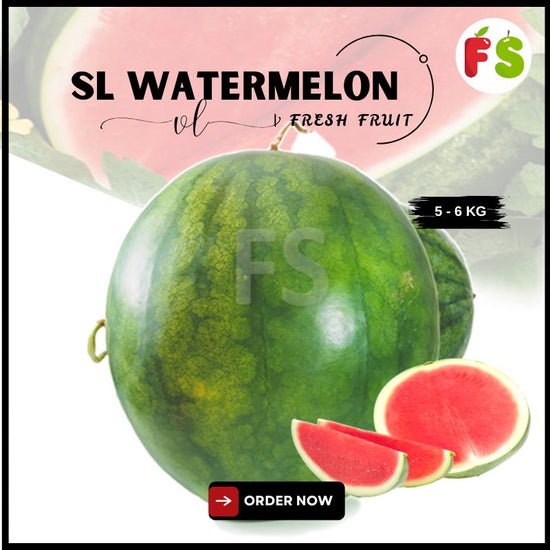 M'sia Red Seedless Watermelon (5-6kg)  | 无子红西瓜