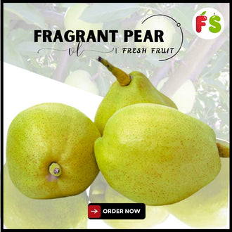 China Fragrant Pear  | ( 5pcs / Packet) 香梨