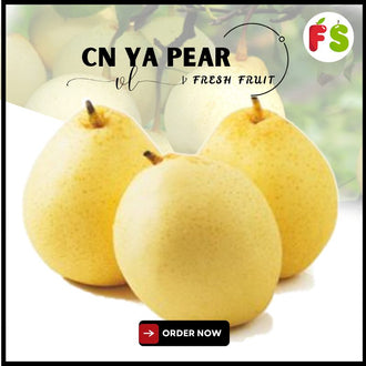 China Ya Pear (pcs ) | 70-75pcs per ctn 鸭梨