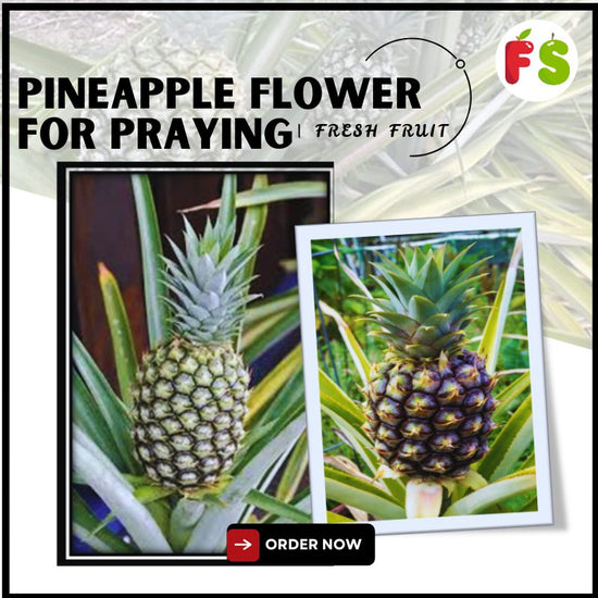 Pineapple Flower for Prayer>1.2kg , 黄梨花