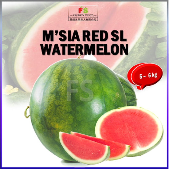 M'sia Red Seedless Watermelon (5-6kg)  | 无子红西瓜