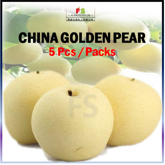 China Golden Pear -Big | 36 pcs per Ctn  黄金梨