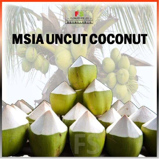 Malaysia Uncut Coconut (PC) |   椰子