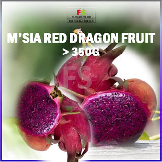 Red fresh dragon fruit ˃330g (PC) | 3 Pcs Per Bundle  红肉龙珠果