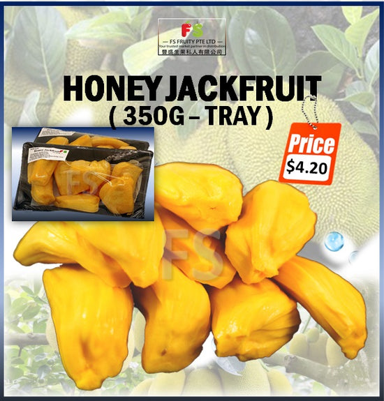 Malaysia Honey Jackfruit Meat (350g)