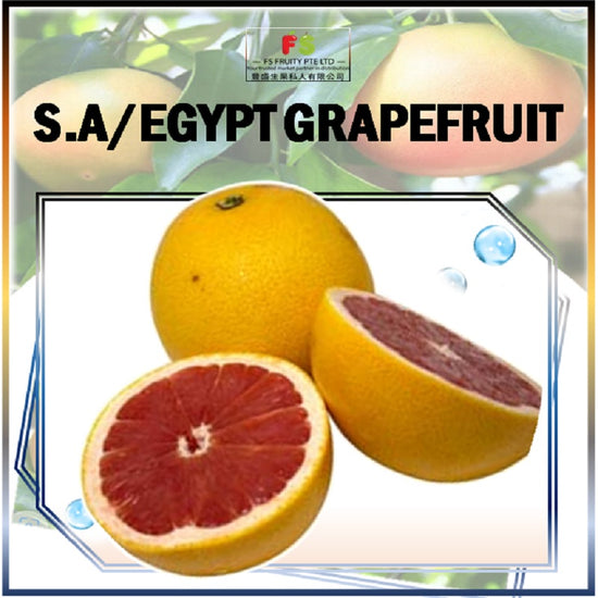 Grapefruit (Pcs) | 50- 55pcs Per ctn  粉红西柚